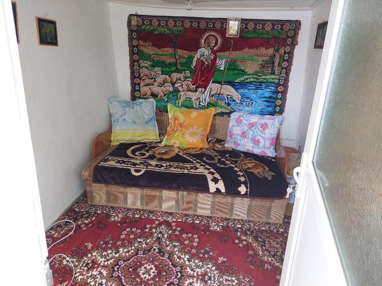 Vand casa cu teren - 5