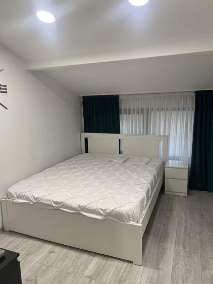 Inchiriez casa Bucuresti sector 3 - 1