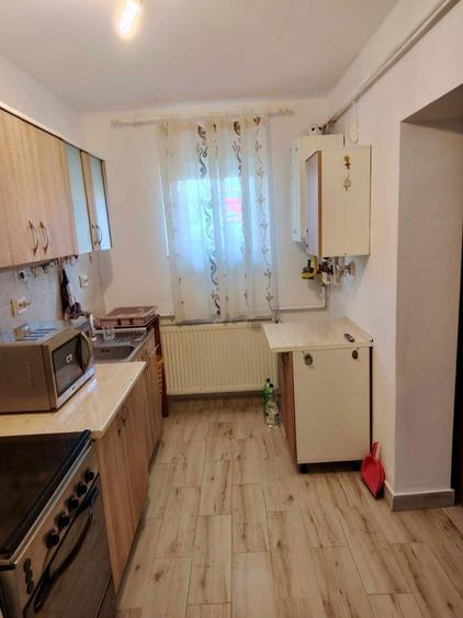 Apartament 2 Camere de Inchiriat Starda Prundului (Zona de Jos a Orasului) - 8