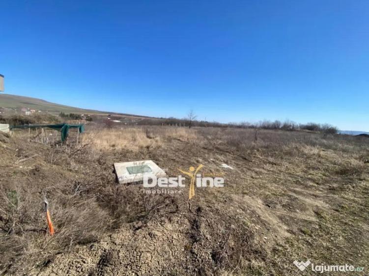 Loturi de Teren Fermelor Strada Plantelor - 3