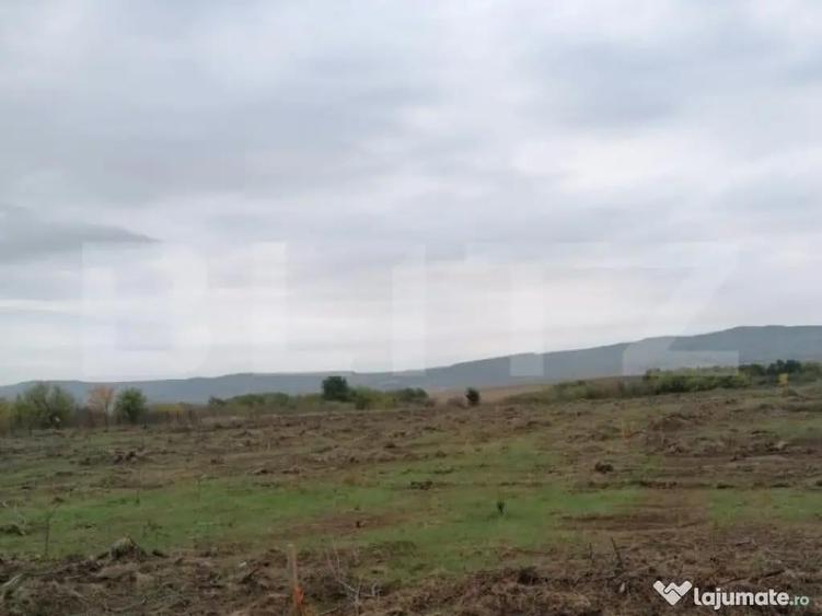 Teren 4500 mp intravilan, TOMESTI-GORUNI - 1