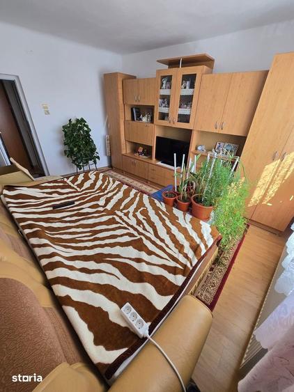 Apartament la casa de vanzare - Dumbraveni - 2