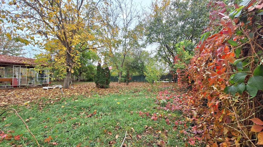 Apartament în Snagov – liniște, natură și confort - 15