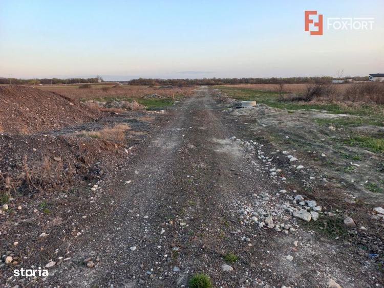 Teren extravilan industrial | 7.826 mp | 2 fronturi stradale | Ghiroda - 4