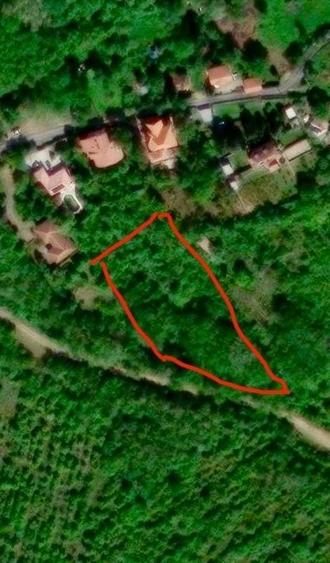 Teren de 5000 mp, în Ghioroc