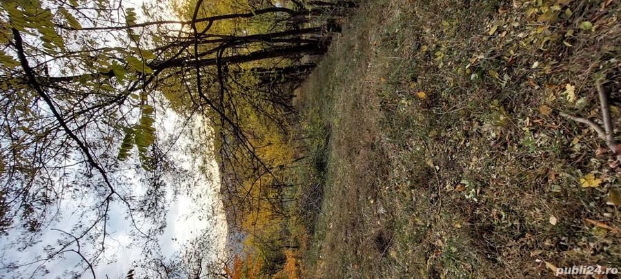 Teren de 1600 mp, în Brebu