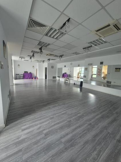 Spațiu comercial, de 362 mp, în Cișmigiu