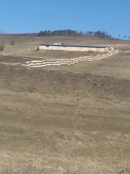 Teren de 7400 mp, în Jibert