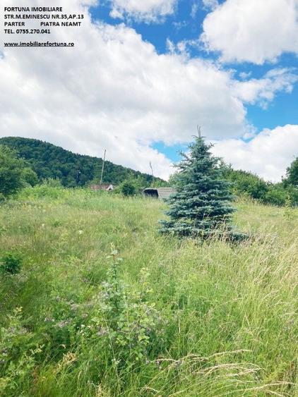 Teren de 3000 mp, în Alexandru cel Bun