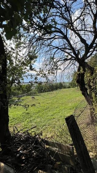 Casă cu 5 camere cu Teren 2000 Mp în Dumitra