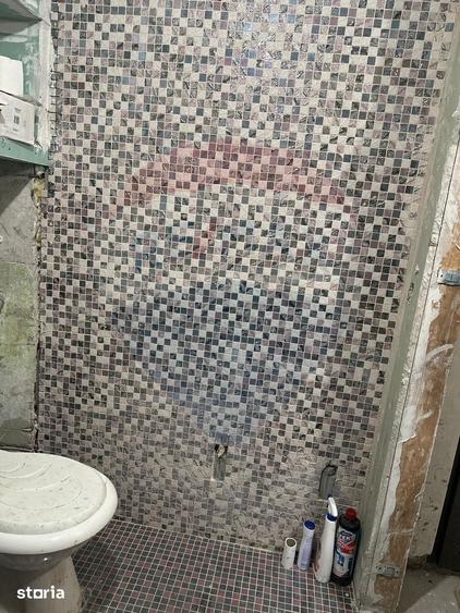 Apartament cu 2 camere de vanzare Savinesti - 4