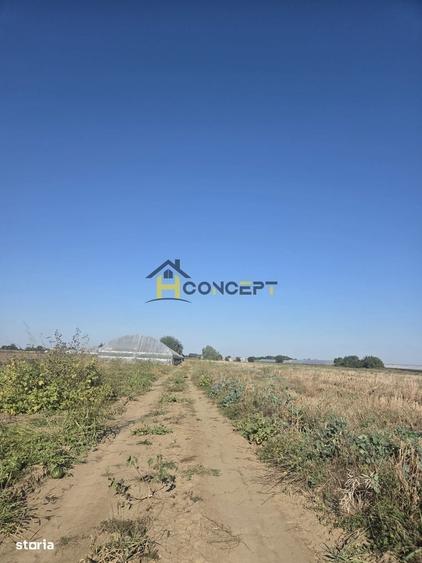 Spațiu comercial, în Câmpurelu