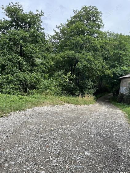VAND TEREN PENTRU CONSTRUCTII, COM.CETATENI - ARGES - 3