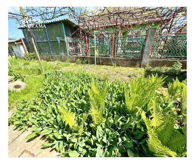 Casă cochetă de v&acirc;nzare - Cartierul Moșnei - 11