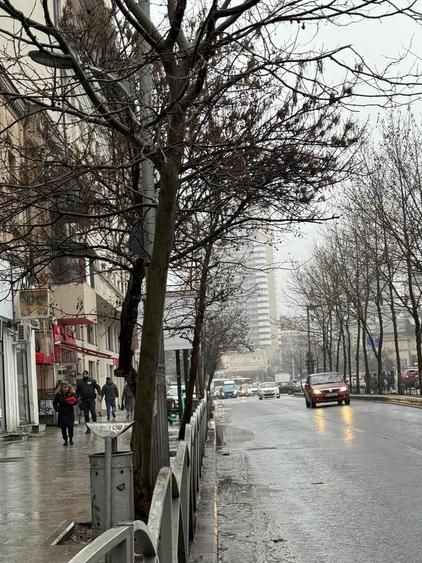 Spatiu comercial I Piata Unirii IC Bratianu I Stradal - 2