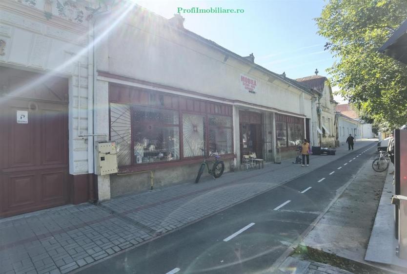 Casa la principala cu spatiu comercial in SANTANA - 1