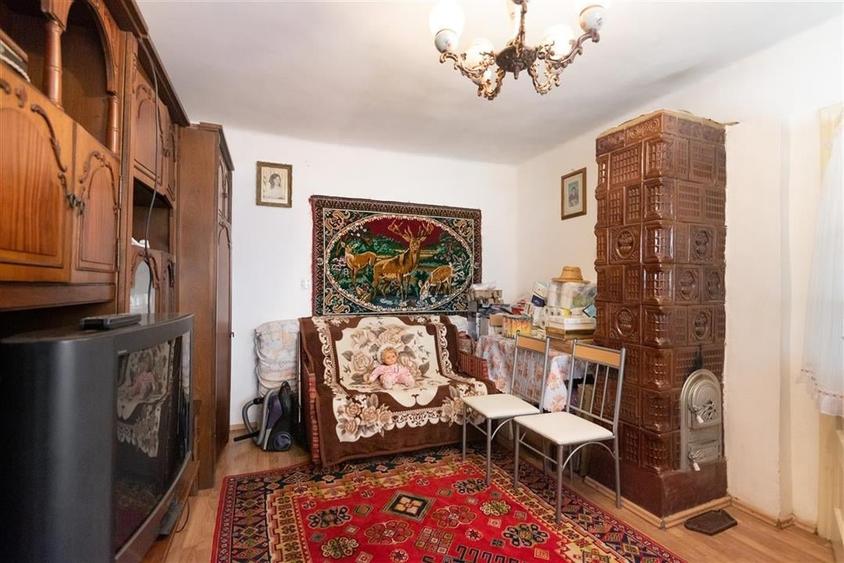 Teren mare cu 2 case si front la 2 strazi in Tamaseu - 11