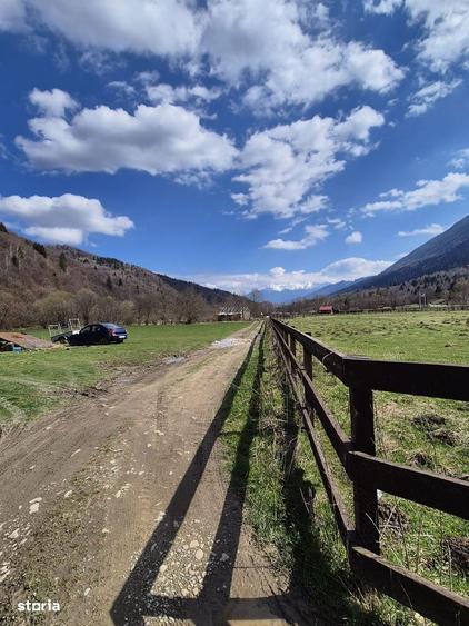 Teren intravilan cu vedere la munte, 1200 mp, acces usor, Plaiul Foii - 14