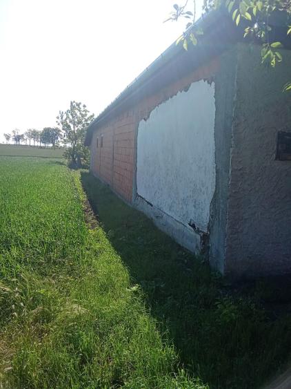 Casa de vanzare Peregu Mare - 7