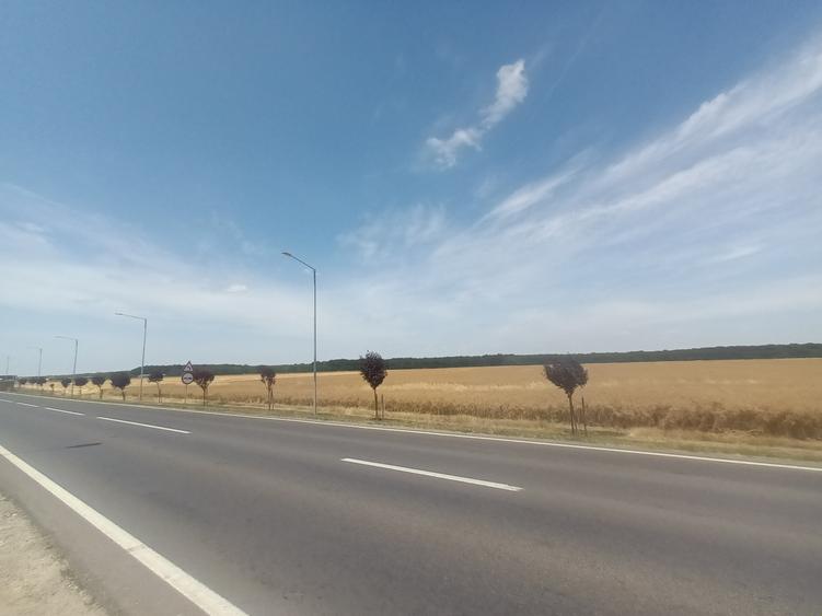 Teren Vanzare Intravilan Branesti - Investitie Zona Industriala Vis a Vis Makita - 30