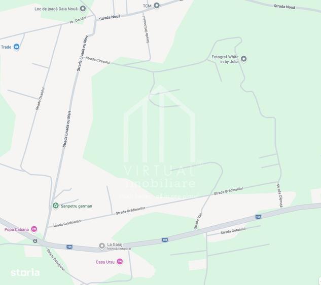 Teren intravilan de constructii - 250 mp - Daia Noua - 3