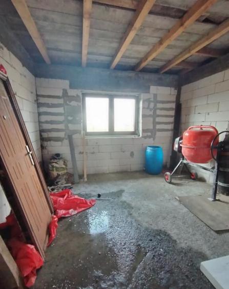 Casa p+1, Carcea, 500 mp teren - 11