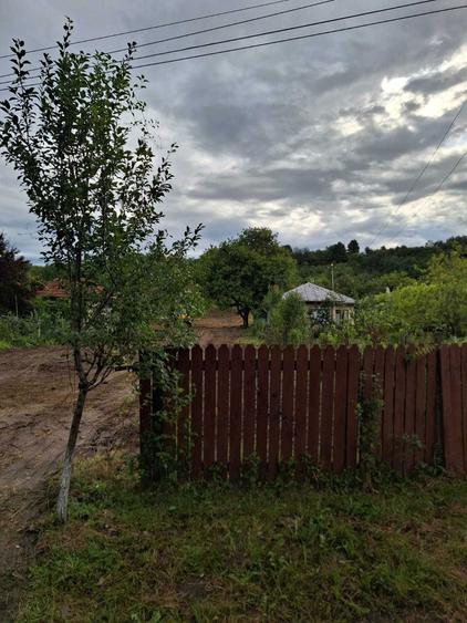 Teren intravilan 2.500 m.p. - Comuna Gornet - Crico , Jud Prahova - 7