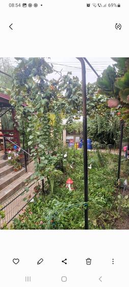 Vand casa de locuit plus magazin - 15