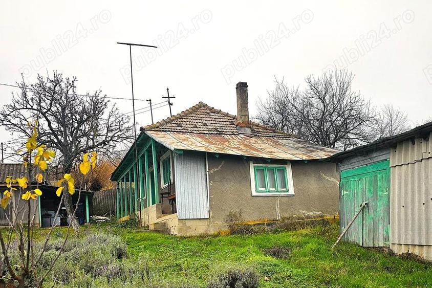 Particular Vand Casa + teren generos 5000 mp intravilan cu livada tanara si vita de vie productiva. - 2