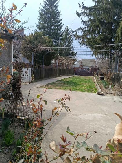 Vand casa batraneasca,demolabila - 1