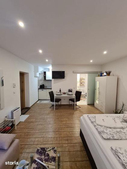 Studio central renovat si utilat, pretabil regim hotelier - 2