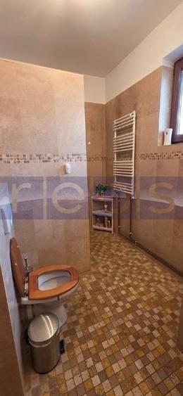 INCHIRIERE VILA S+P+1+M | ZONA DECEBAL - 10