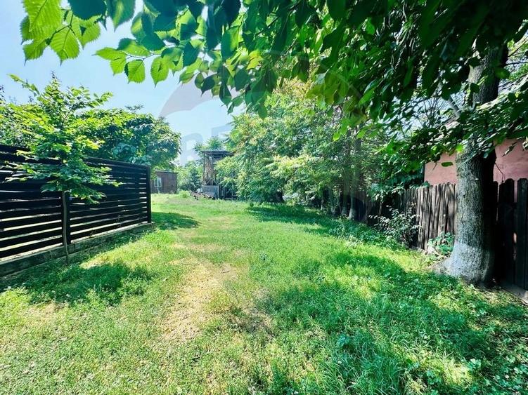 Teren 1537mp cu Livada si Iesire la Lac in Niculesti-Dambovita - 3