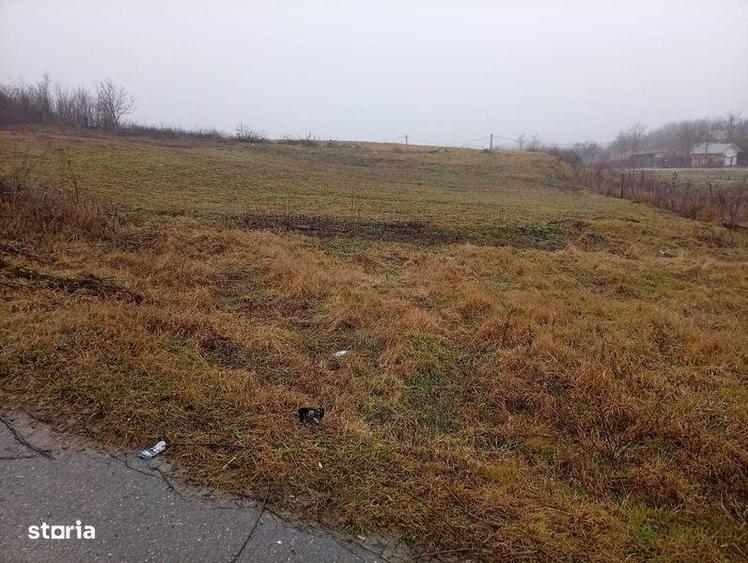 Direct de la proprietar - teren intravilan 820mp Proselnici - 1