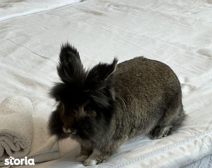 Bloc 2025 cu Parcare! Pet Friendly! | Cotroceni | QF611-Et11 - 1