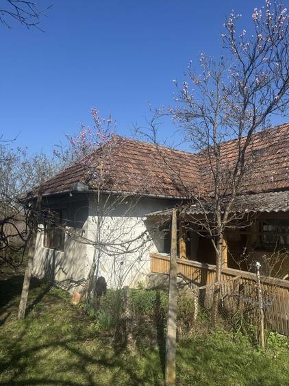 Casa si teren(35 arii) de vanzare la 40 km de Baia Mare - 7
