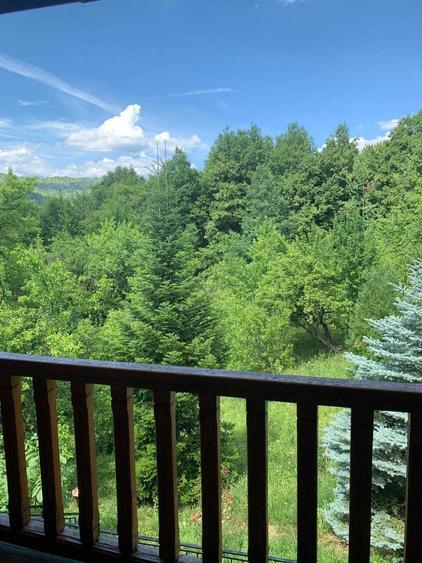 Duplex complet (2 vile) pret pentru ambele Valenii de Munte - 1