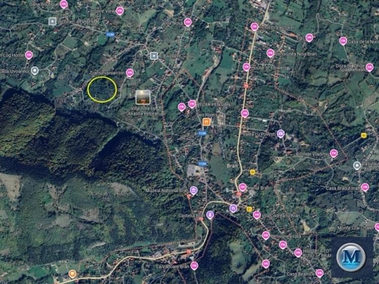 Teren intravilan de vanzare in Bran, 24000 mp #16561 - 3