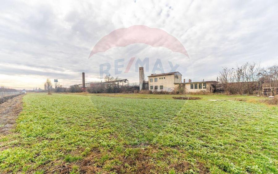 Vila 4 camere si teren 4421mp de vanzare - 6