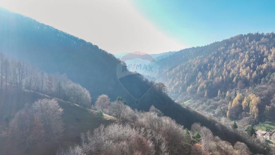 Teren Colinar Panoramic – 17.684 mp în Scheii Brașovului - 8