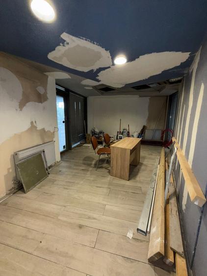 Parc Carol Spatiu Comercial 237 mp de vanzare sau inchiriere - 16