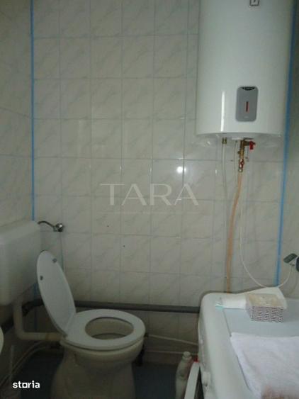 Sannicoara casa + teren 3800 mp, spa?iu, lini?te ?i poten?ial real - 6