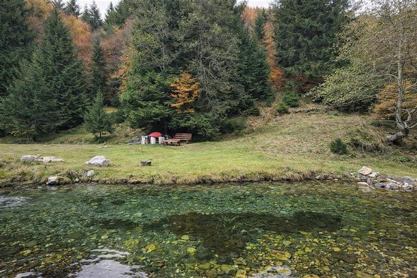Teren intravilan panoramic 4.600mp,view iconic Piatra Craiului,oportunitate prem - 2