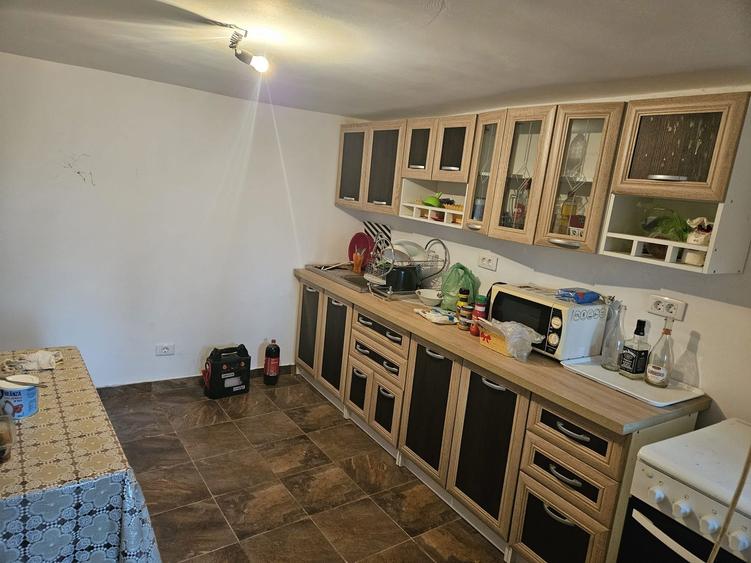 Casa + Teren cu livada de vanzare | Ibrianu, DB - 1