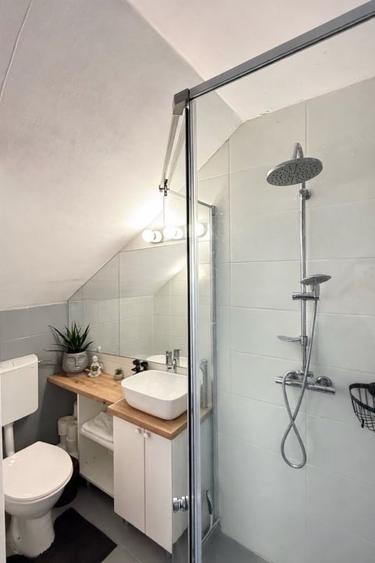 Casa - Apartament de inchiriat ultracentral - Pietonala N Balcescu - 7