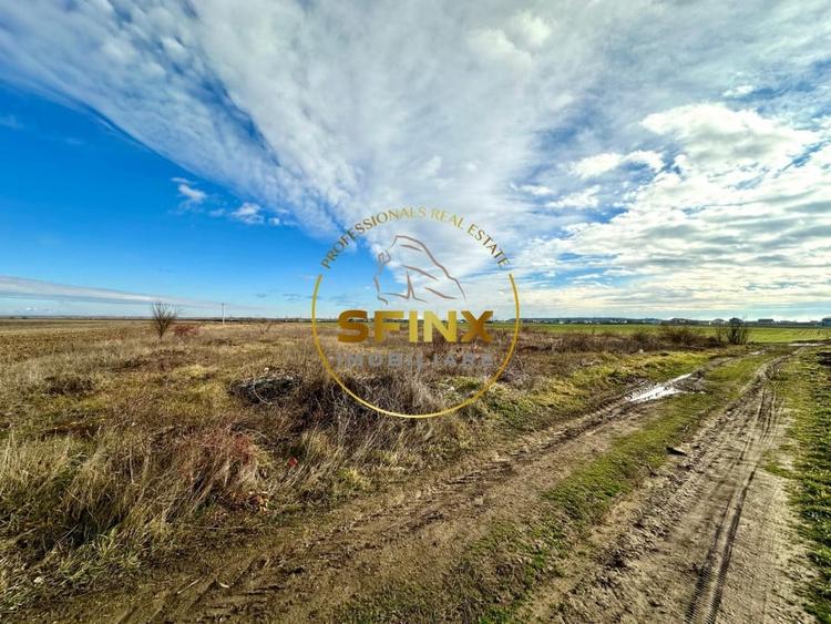 LOT de casa Tartasesti Primarie | teren cu potential - 2