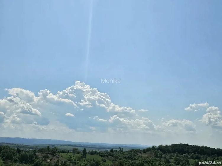 Vanzare casa pensiune P+M