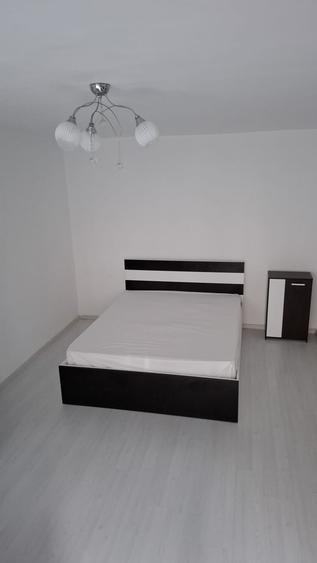 Sebastian Petre Ispirescu apartament 2 camere de inchiriat - 8