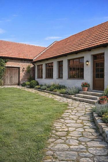 Casa de Vanzare PARU, TIMI? - 3