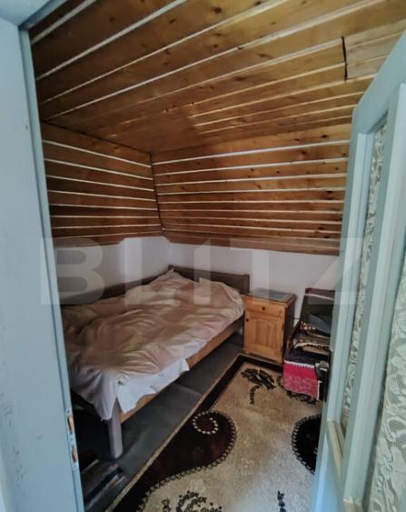 Cabana 5 camere Salard - 6